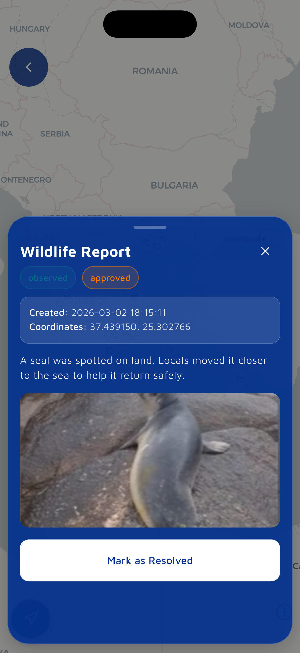 SailWatch Reporting screenshot